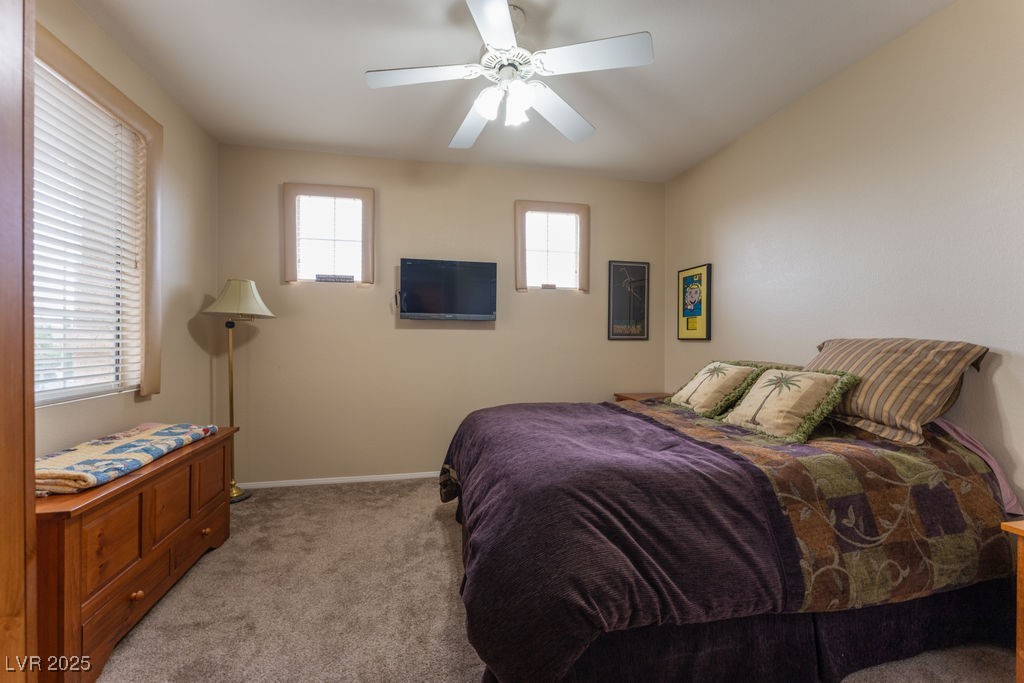 10161 Snow Crest Place