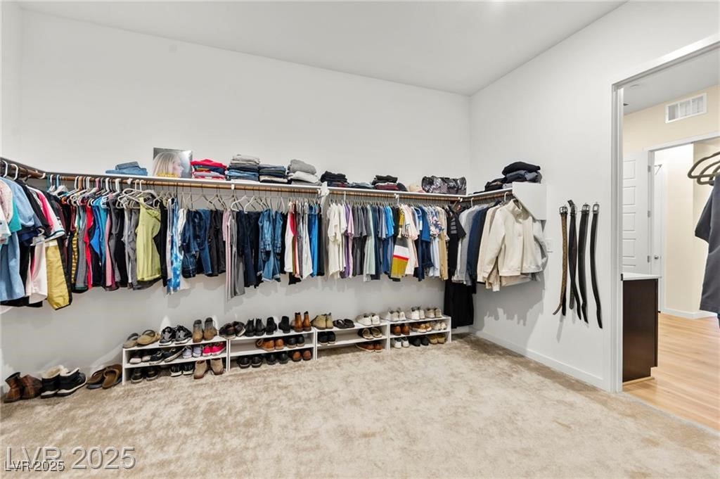 10906 Mila Landing Avenue