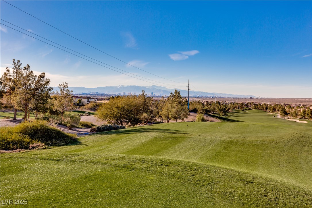 1269 Olivia Parkway