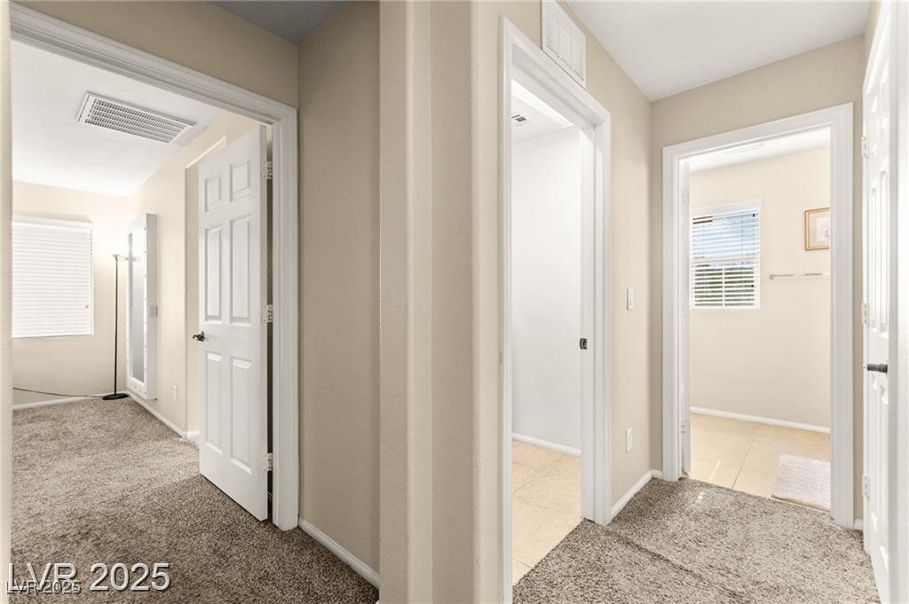 10568 Peach Creek Street