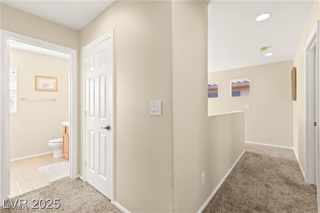 10568 Peach Creek Street