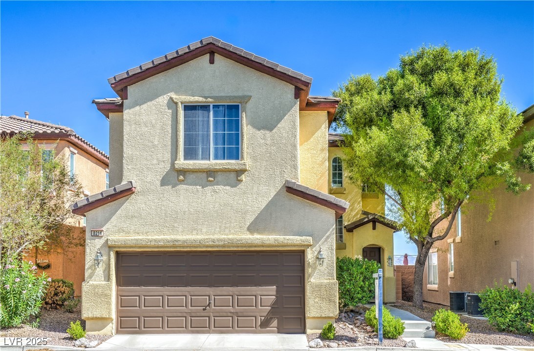 8216 Brilliant Pompon Place