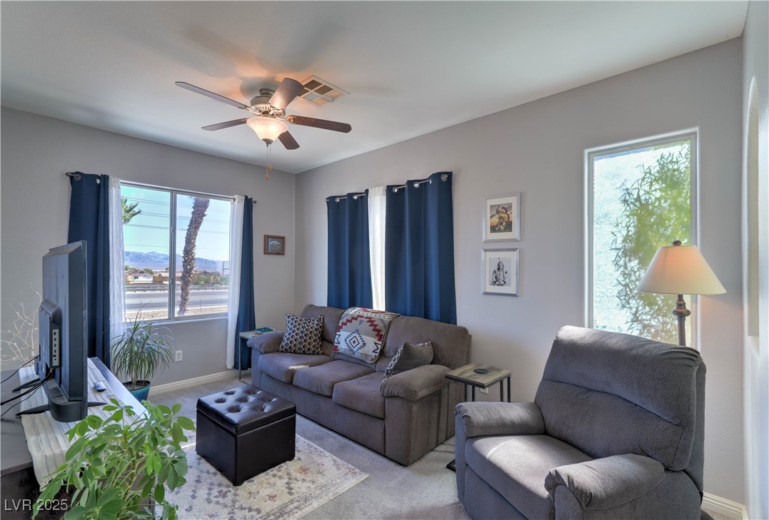 8216 Brilliant Pompon Place