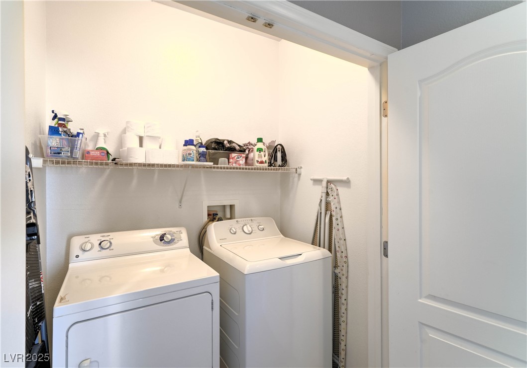 8216 Brilliant Pompon Place