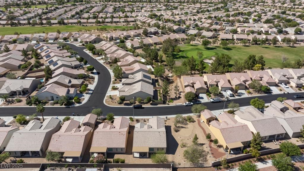 7716 Homing Pigeon Street