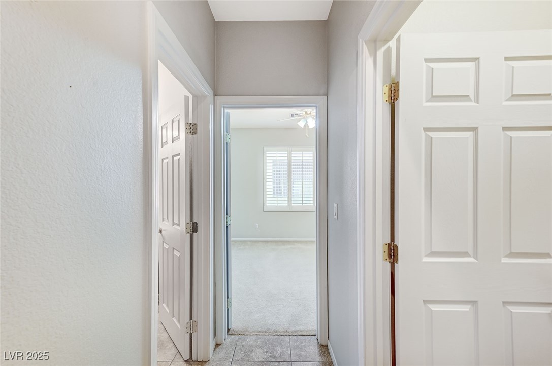 3739 Squirrel Street