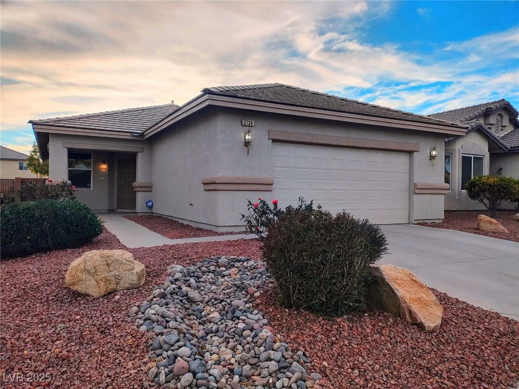 3739 Squirrel Street