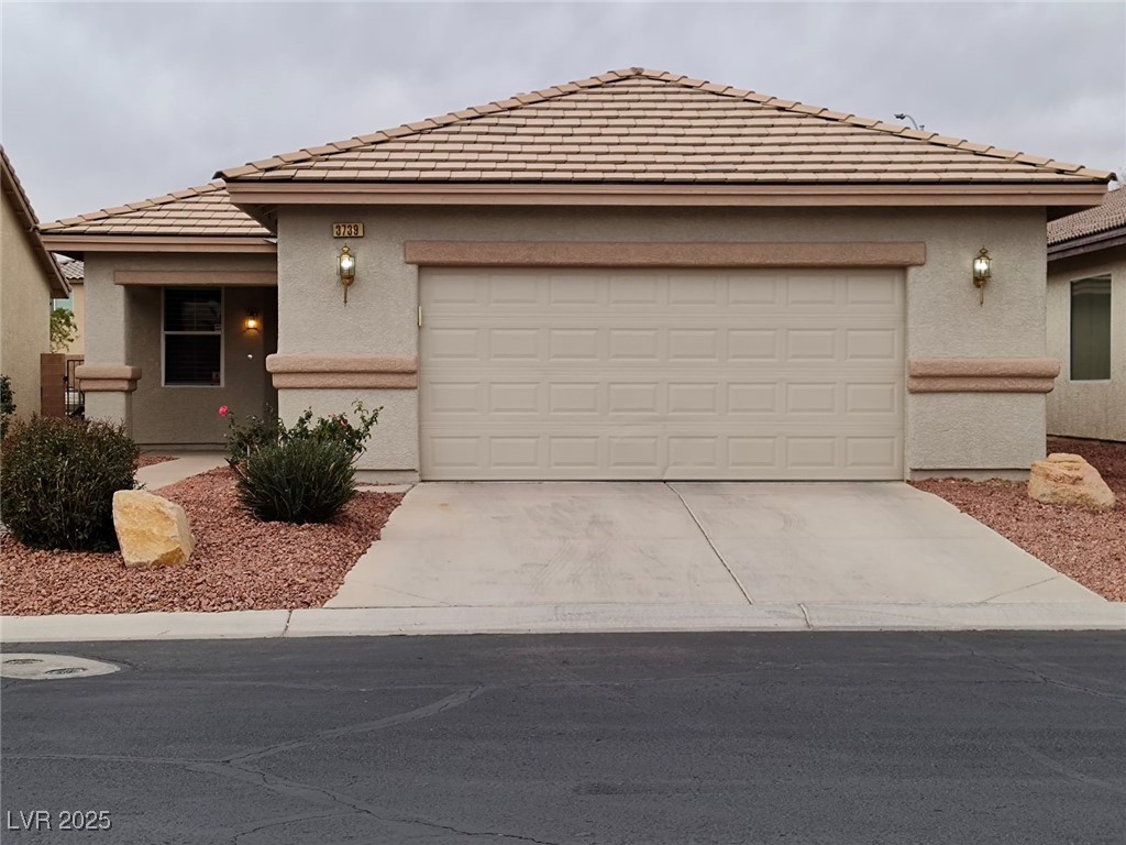 3739 Squirrel Street