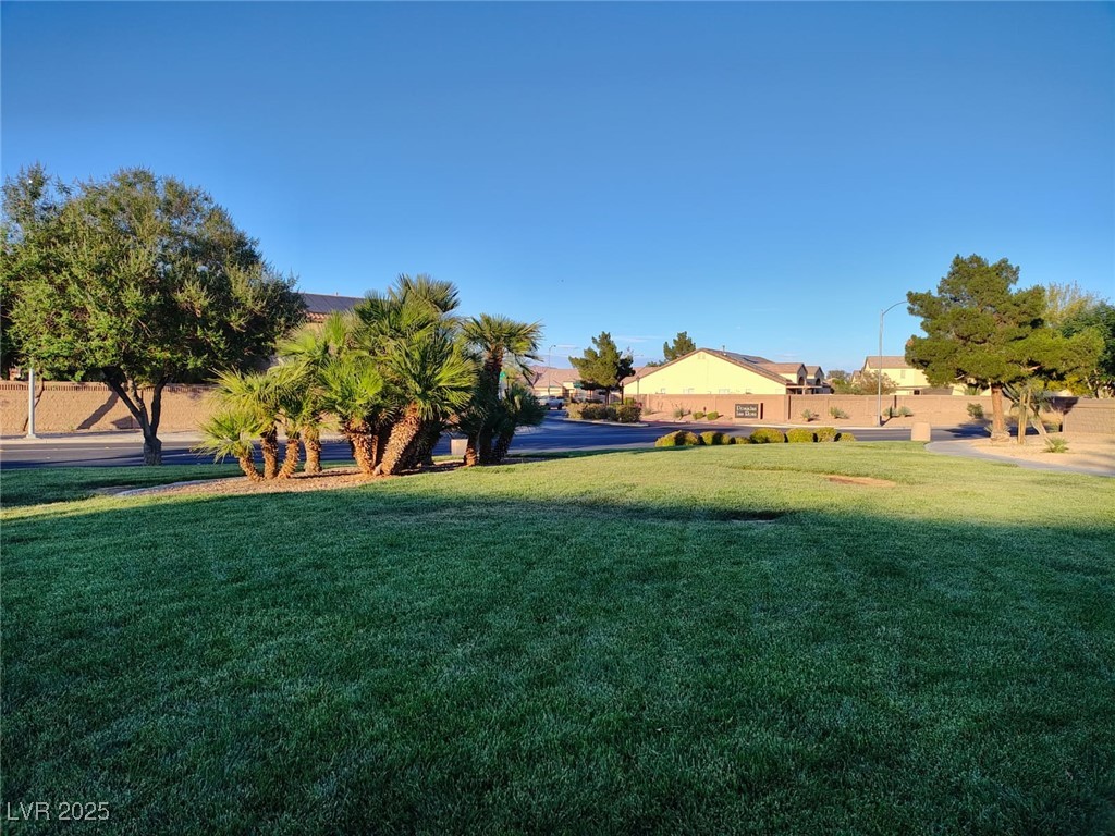 3739 Squirrel Street