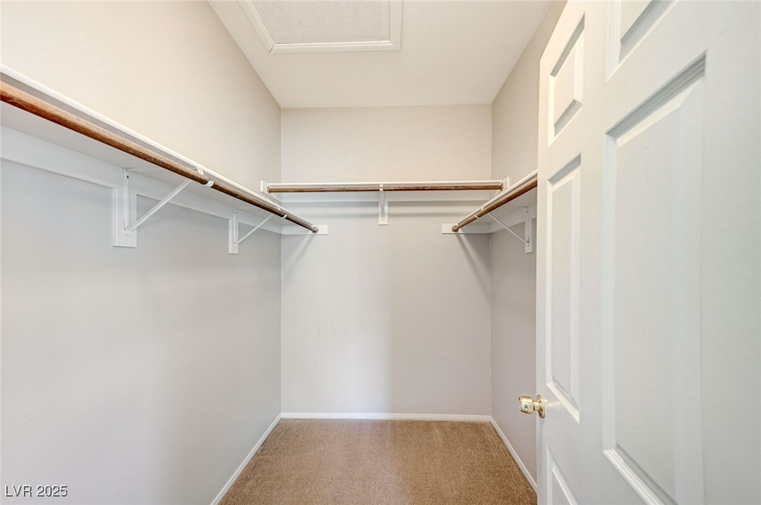 3739 Squirrel Street