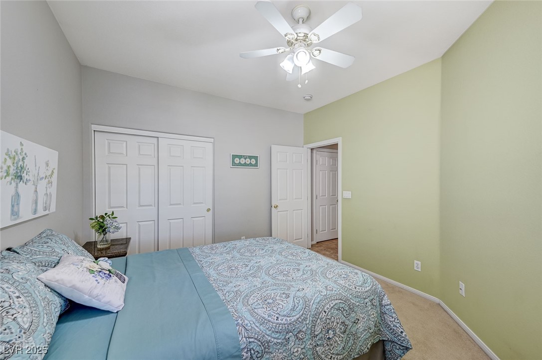 3739 Squirrel Street