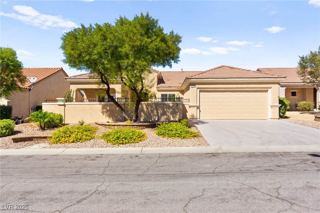 2219 Sawtooth Mountain Drive