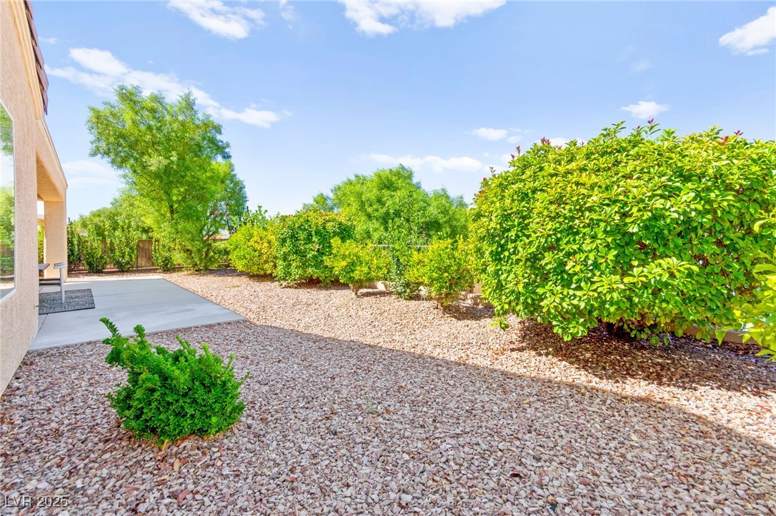 2219 Sawtooth Mountain Drive