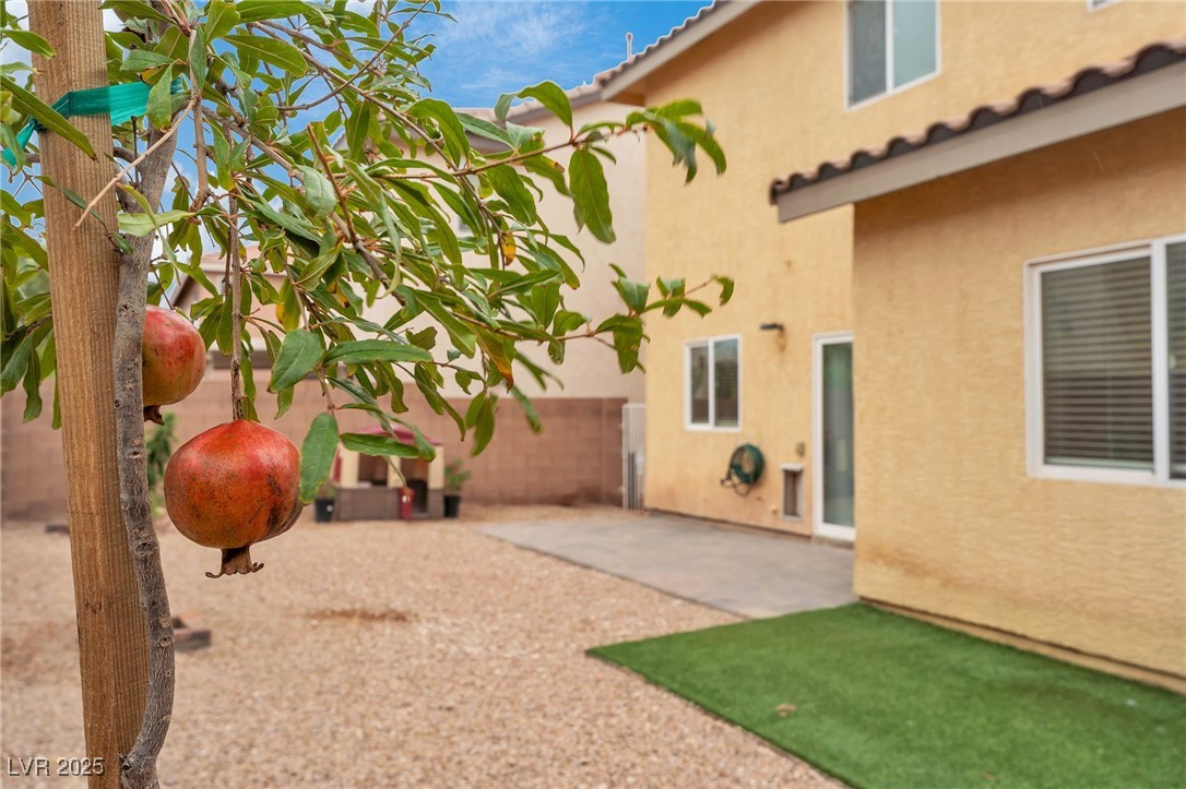 10330 Eve Springs Street