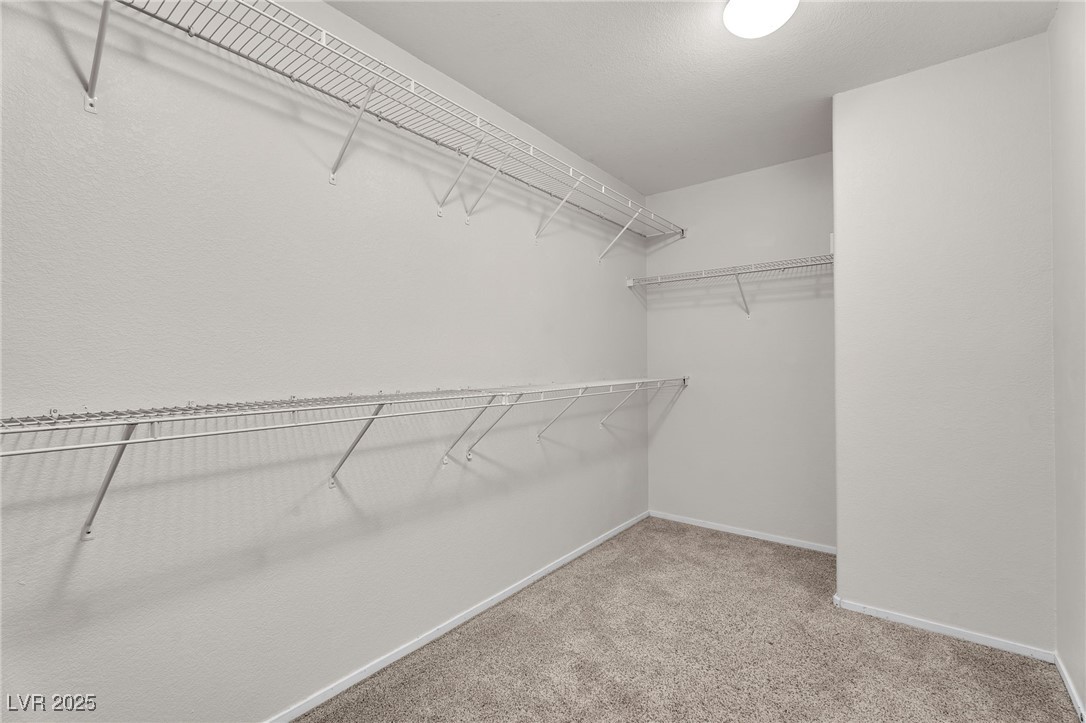 10330 Eve Springs Street