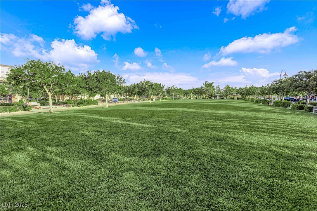 3251 Fountaintree Avenue