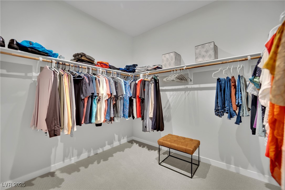 3251 Fountaintree Avenue