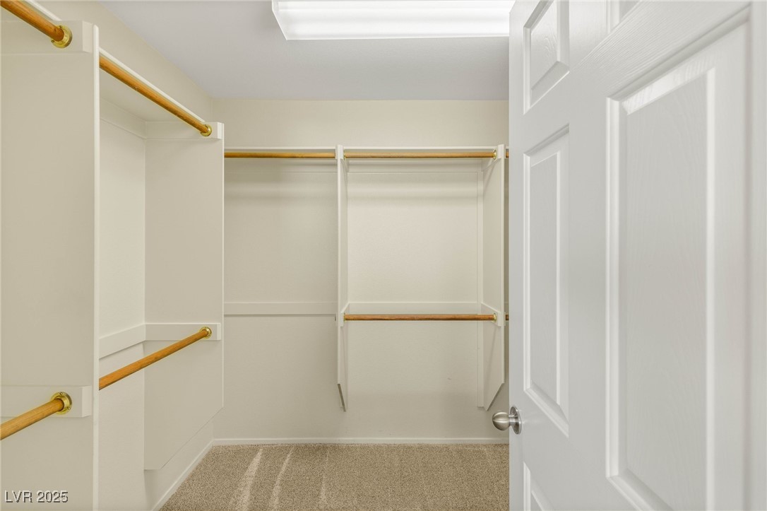 11226 Kenyan Sunshine Court