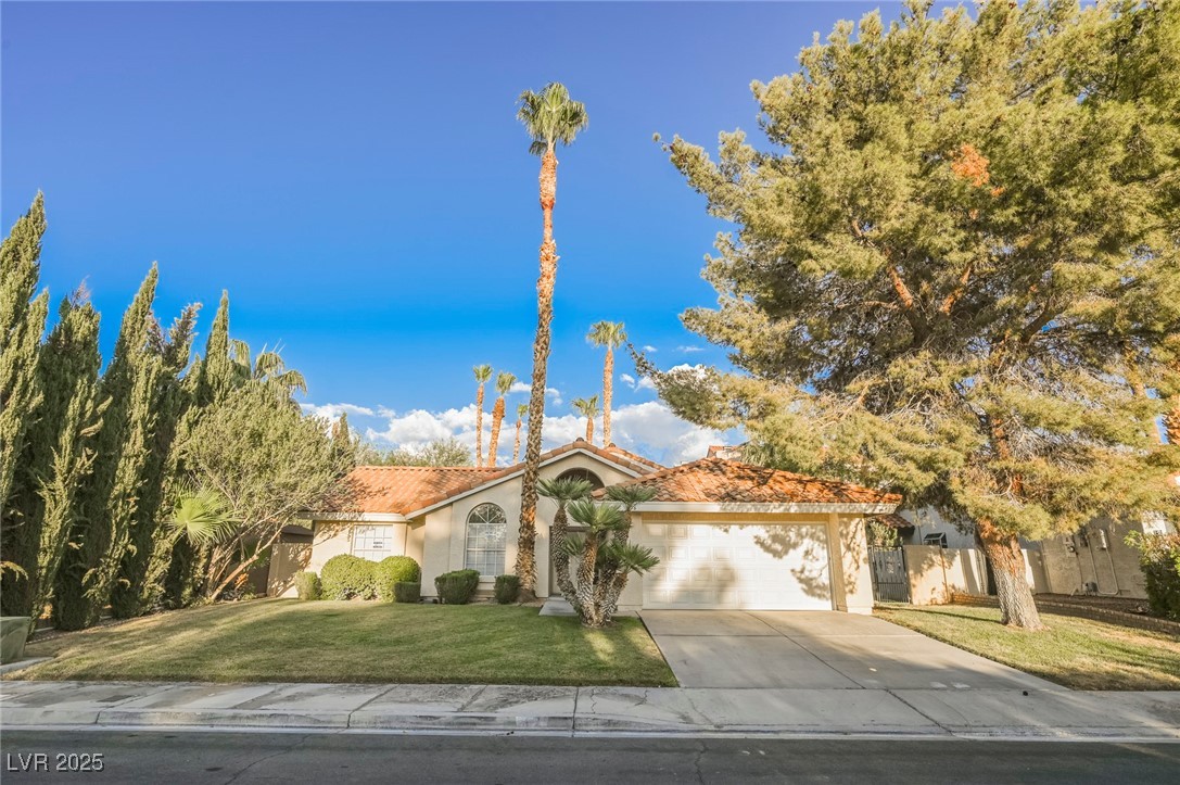 56 Chesney Drive