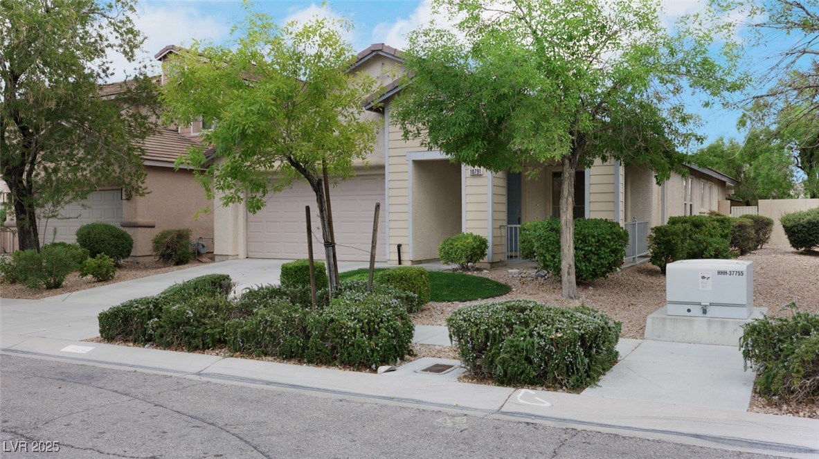10791 Silver Lace Lane
