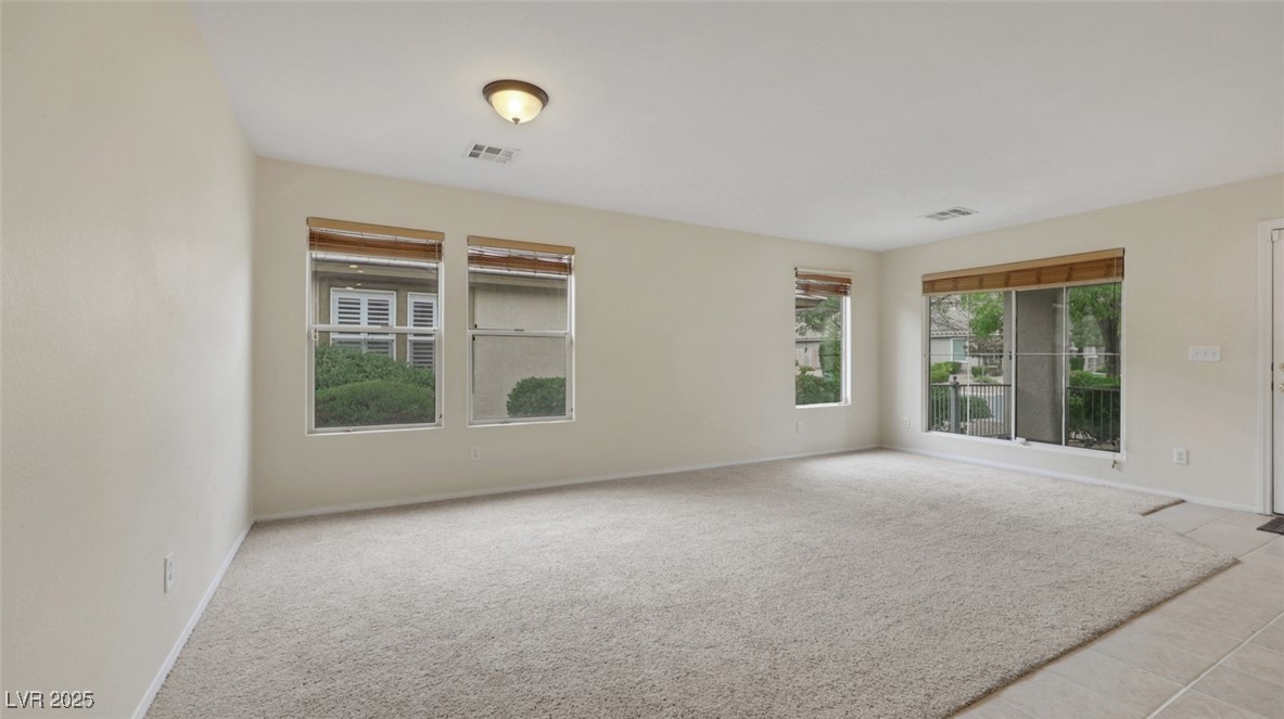 10791 Silver Lace Lane