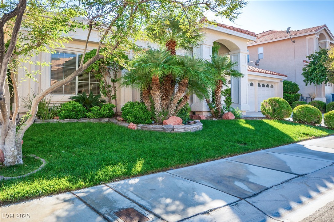 8725 Castle Hill Avenue