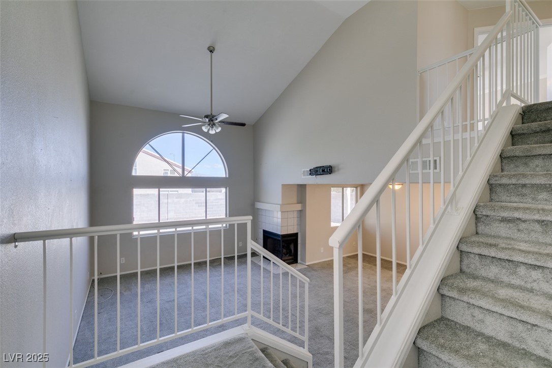 7424 Queen Palm Drive