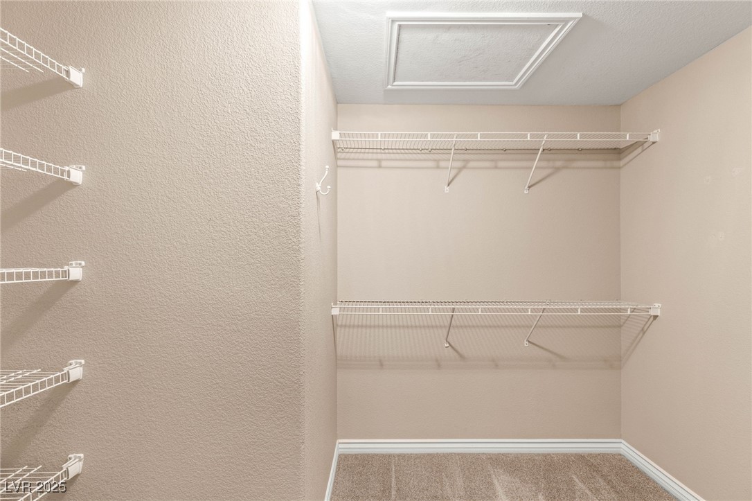 6116 Cottontail Cove Street