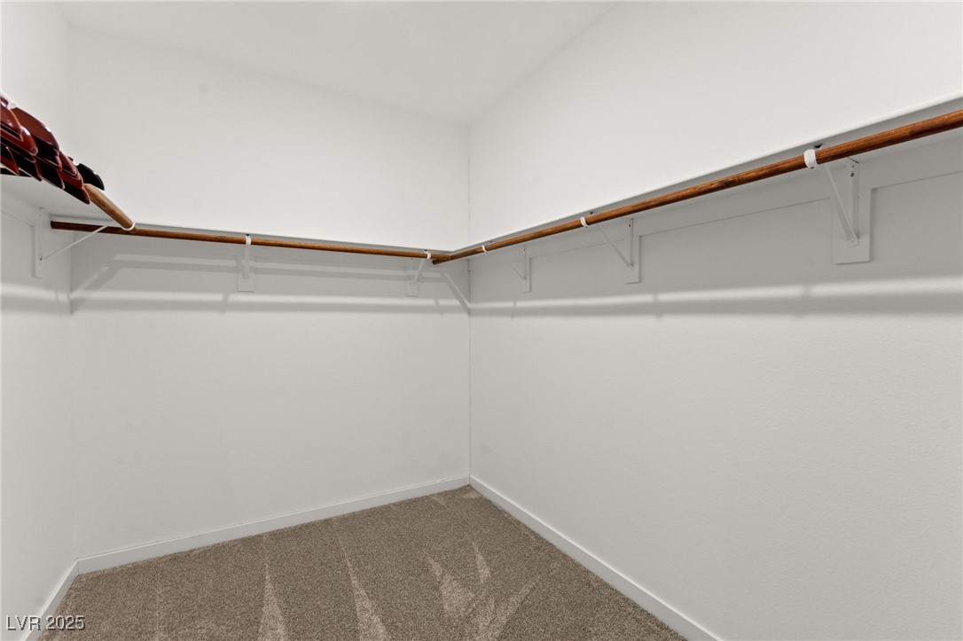 3525 Raina Ridge Court