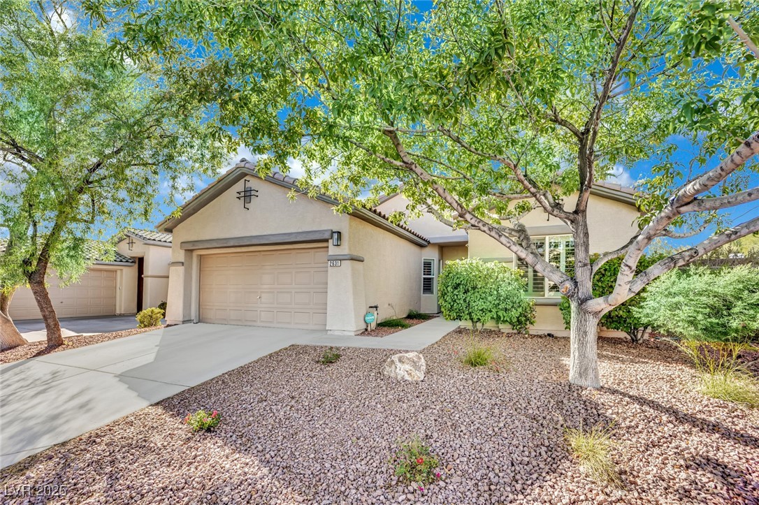 2631 Ivoryhill Street