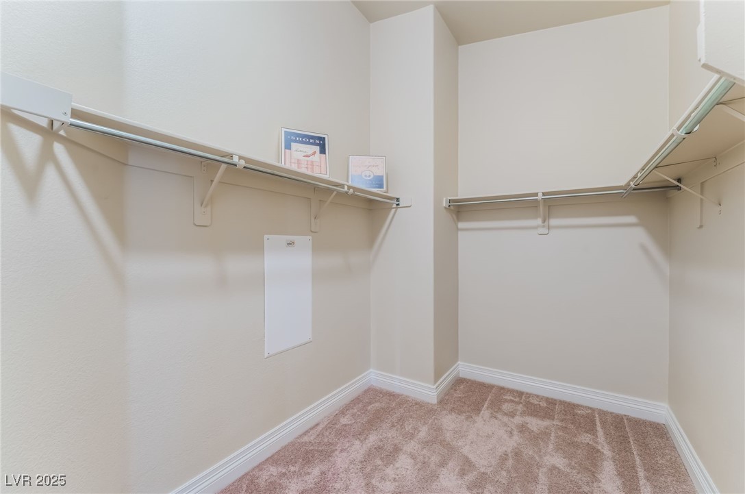 3321 Blueberry Climber Avenue