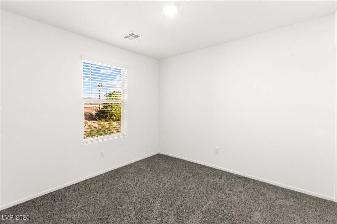 491 Waterfall Cove Court