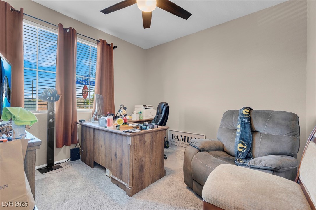 3556 Valley Lily Street