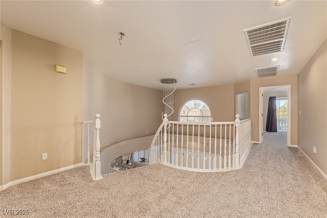 7609 Belgian Lion Street