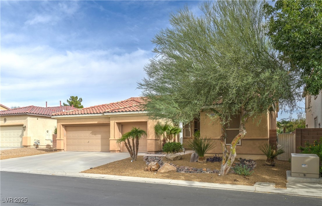 6504 Gilded Flicker Street