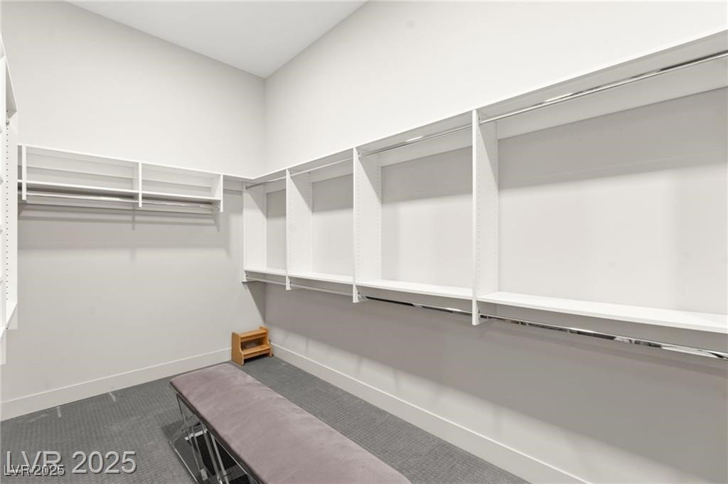 387 Solitude Peak Lane