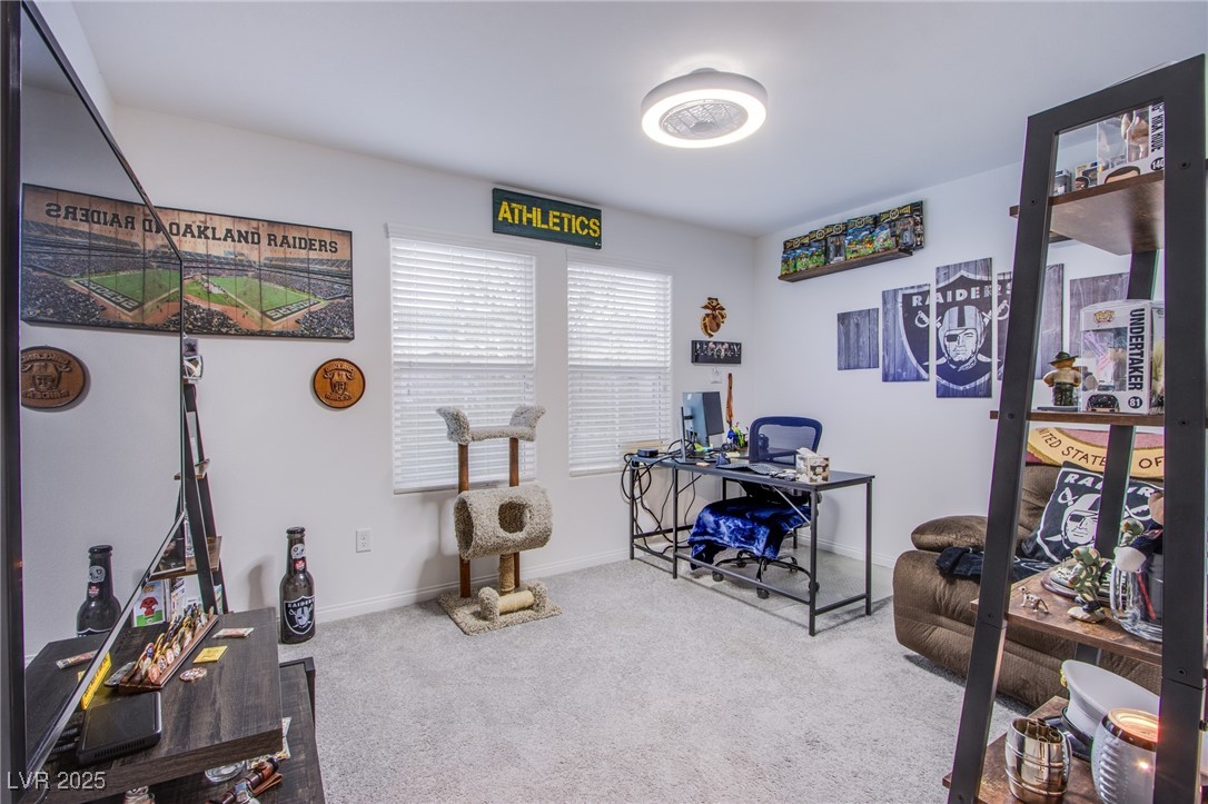 376 Desoto Falls Street