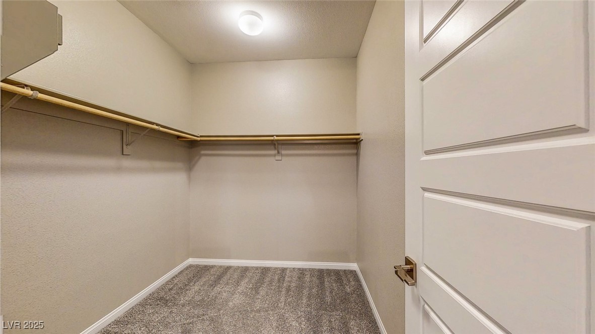 10326 Arville Springs Court