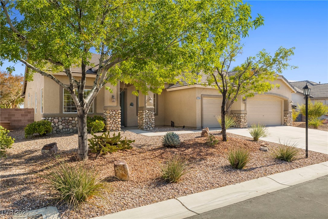 8704 Desert Night Street