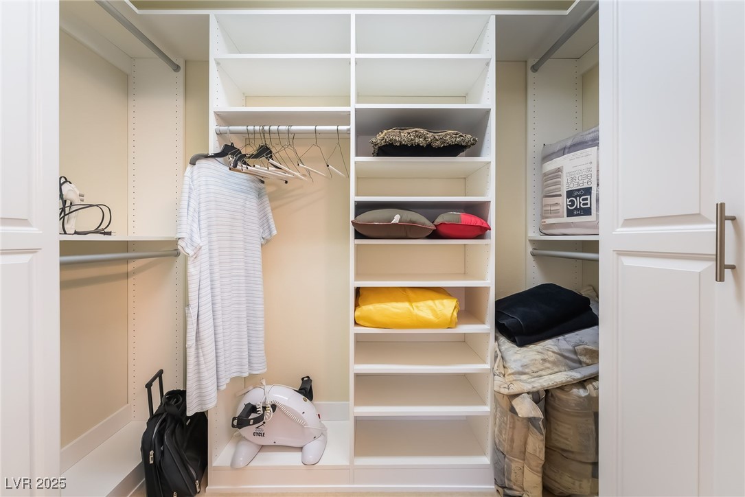 10931 Fintry Hills Street