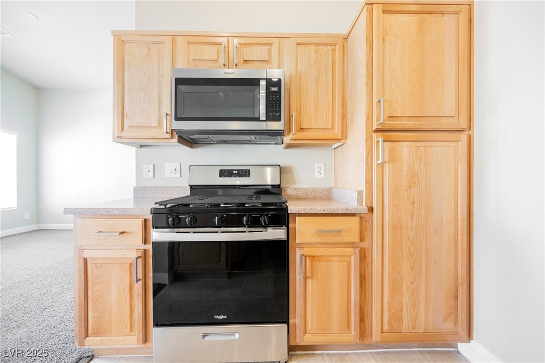 3309 Speckle Summer Place 1