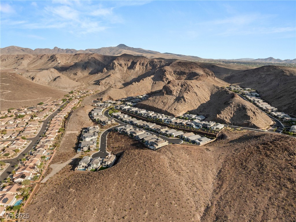 1989 Regal Bluff Drive