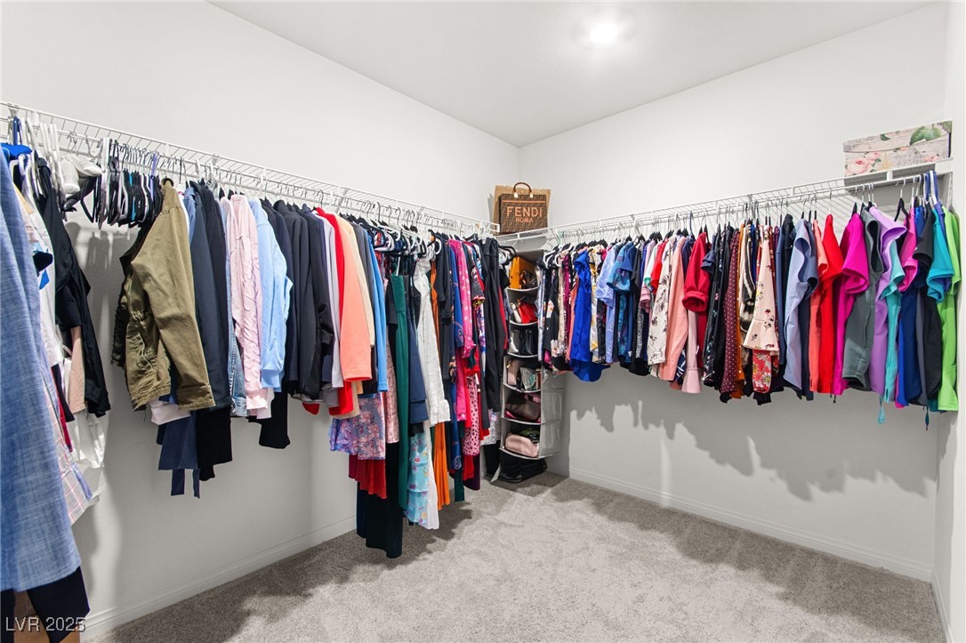 10282 Desert Barrel Court