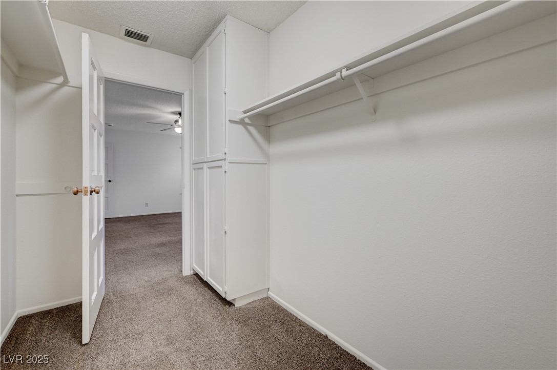 2499 Swan Lane