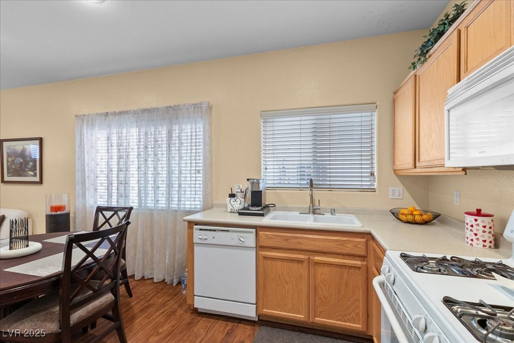 9936 Elkhead Creek Way