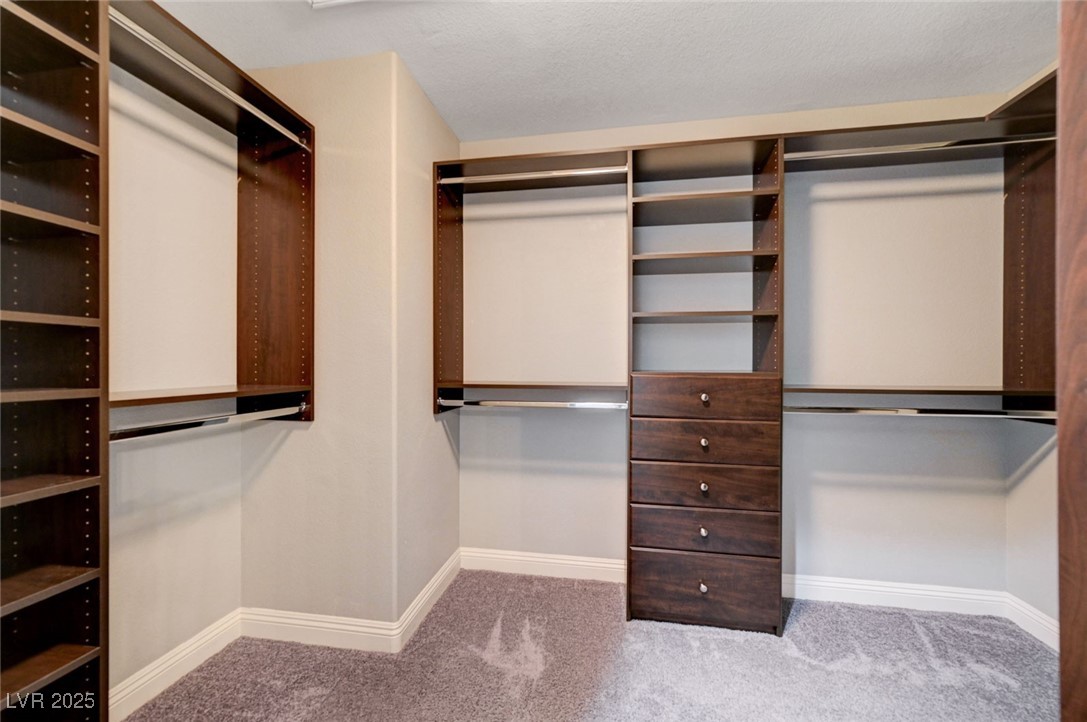 10120 Lexington Pines Avenue