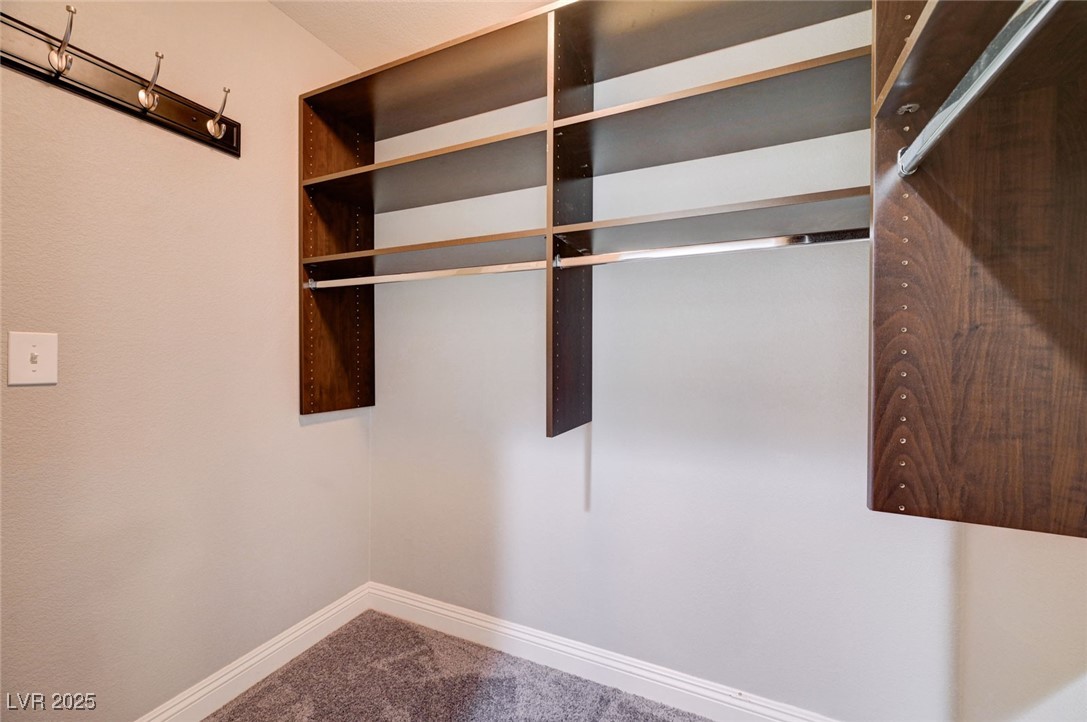 10120 Lexington Pines Avenue