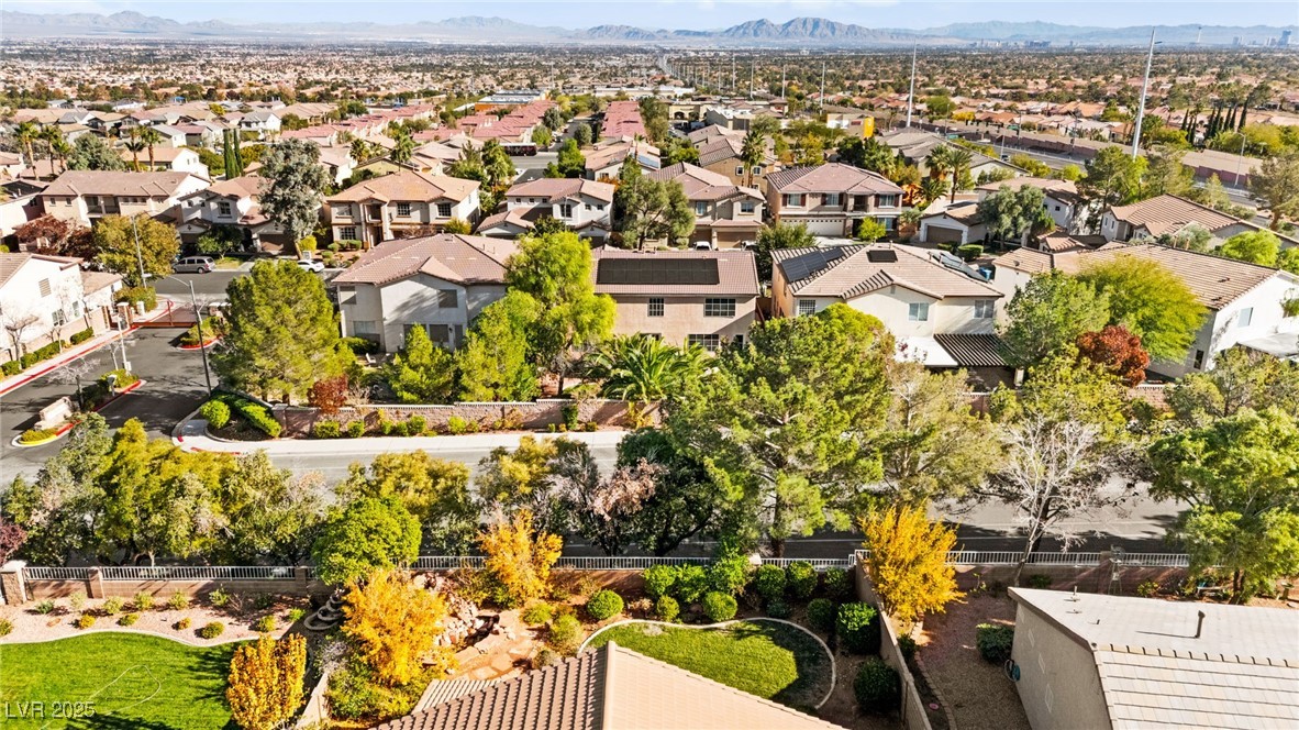 3212 Hill Valley Street