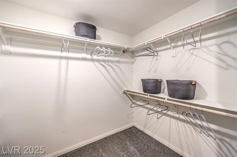 10414 Ricordi Street 167