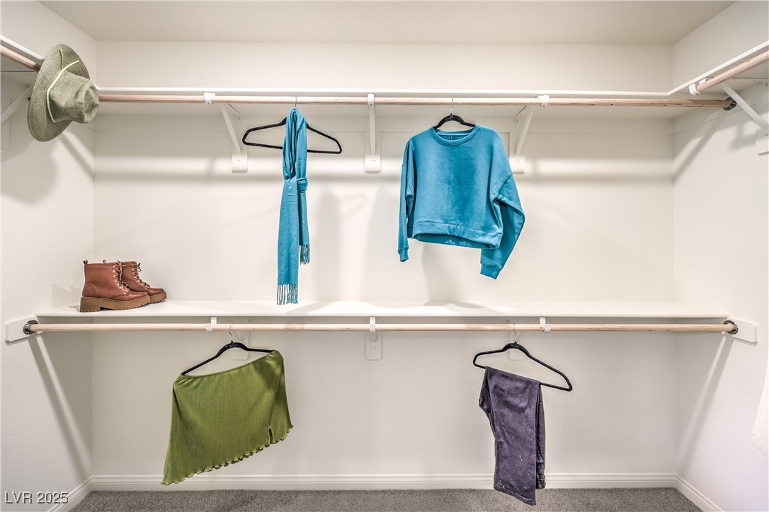 542 Red Lovebird Avenue Lot 1255